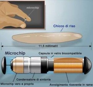 microchip1