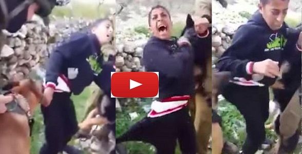 Σάλος! Στρατιώτες έριξαν 16χρονο παλαιστίνιο σε 2 μανιασμένα σκυλιά (Video)