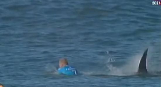 Επίθεση από καρχαρία δέχθηκε  σέρφερ κατά τη διάρκεια αγώνα (Video)   ΣΟΚ