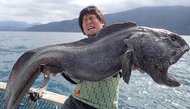 Απίστευτο!! Αλίευσε μεταλλαγμένο γιγαντιαίο τερατόμορφο ψάρι!! Λόγω Φουκουσίμα