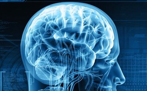 7E41162F1A36ECD07E51ED35B489C517