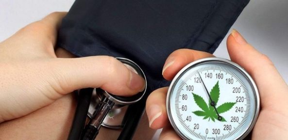 marijuana high blood pressure