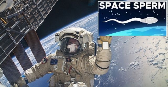 nasa sperm in space