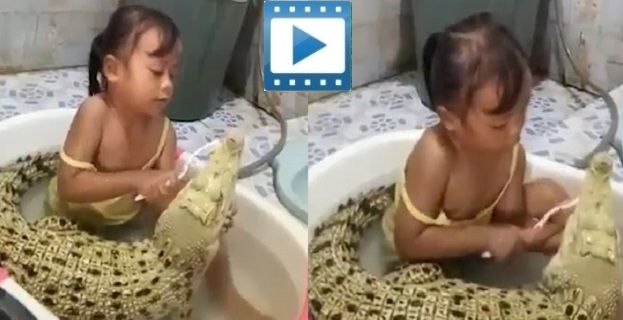 Shocking footage shows little girl brushing