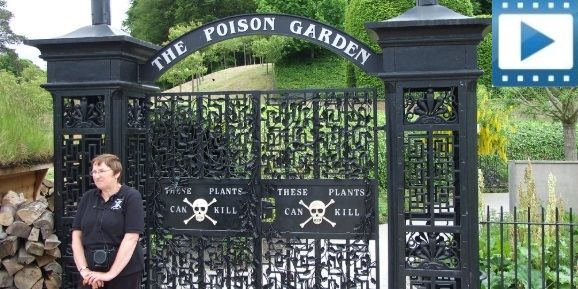 The poison Garden Alnwick