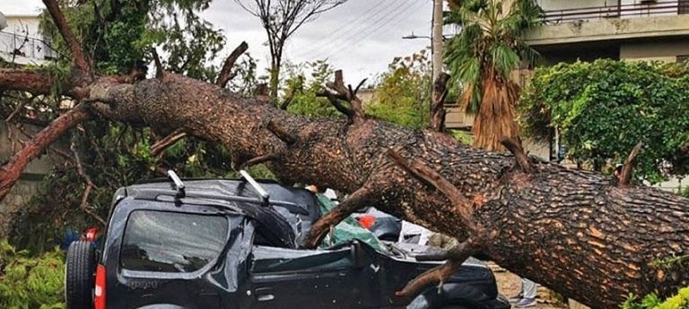 Eλλάδα: Ο Δήμος Αθηναίων θα αποζημιώσει τους ιδιοκτήτες ΙΧ που υπέστησαν ζημιές από πτώσεις δέντρων