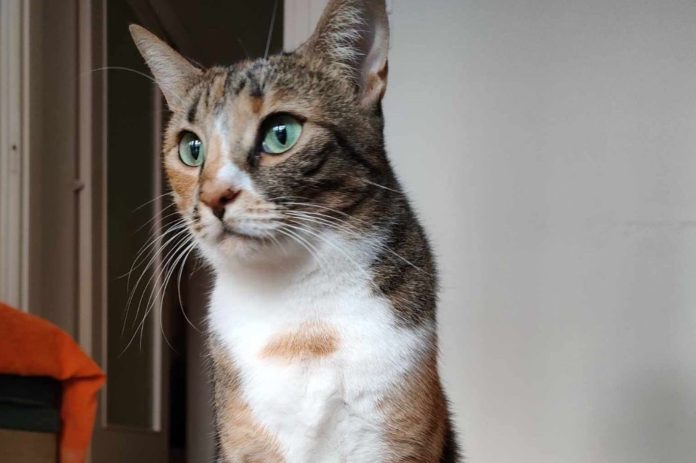 Image 17-09-2025 at 16.23