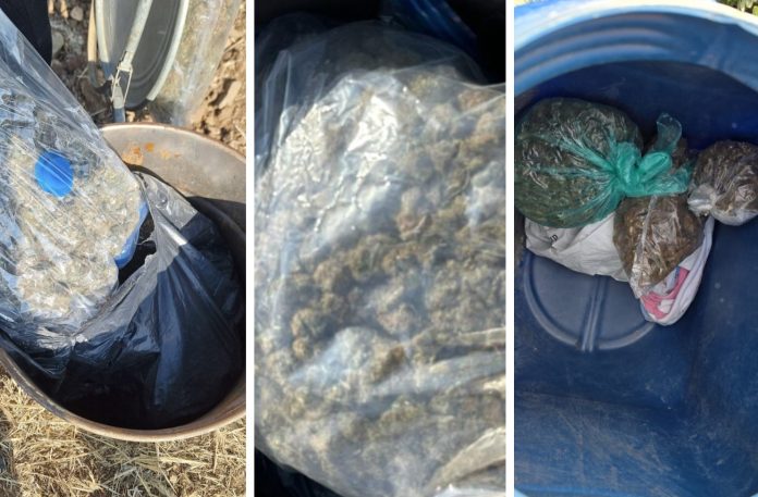 Image 08-11-2025 at 09.21