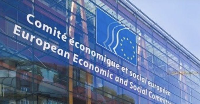 Image 18-11-2025 at 18.59