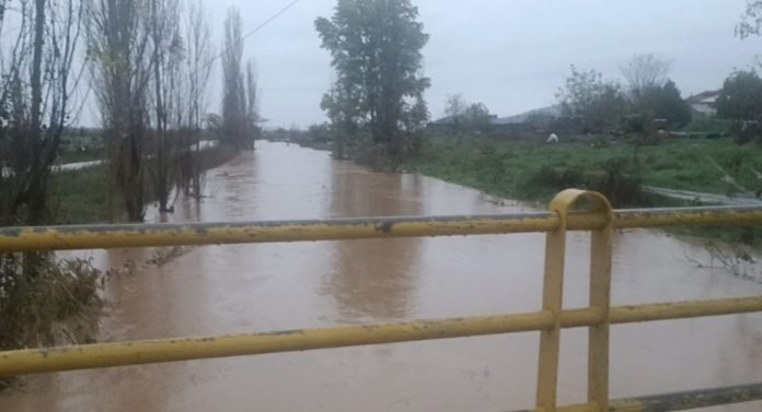 Image 06-12-2025 at 12.01