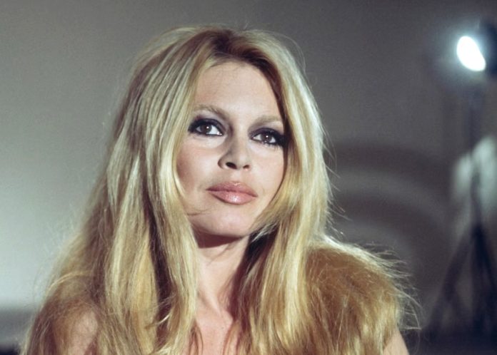 Image 28-12-2025 at 17.11