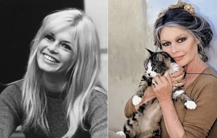 Image 28-12-2025 at 18.03