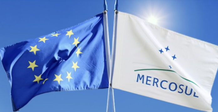 Image 17-01-2026 at 13.05