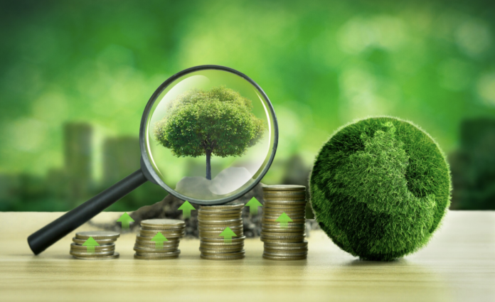 Image 12-02-2026 at 13.17