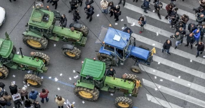 Image 13-02-2026 at 19.32