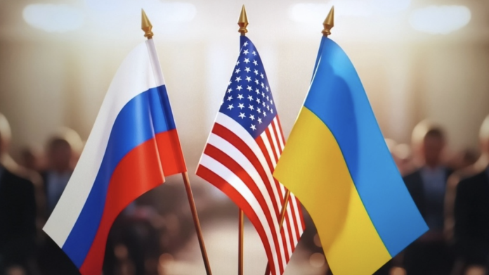 Image 13-02-2026 at 20.22