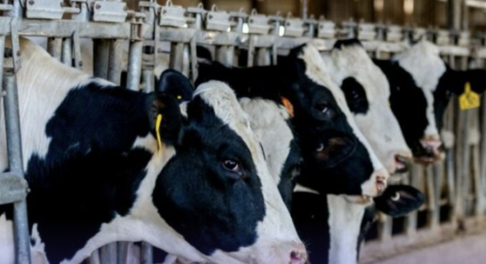 Image 20-02-2026 at 18.58