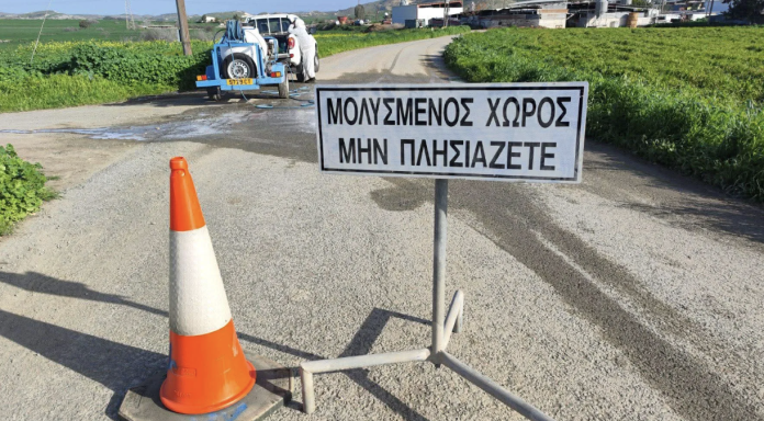 Image 21-02-2026 at 19.09