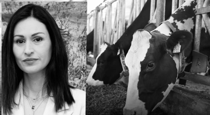 collage_export_8DF49D62-BFBB-49B8-BF30-915D493D2FBC