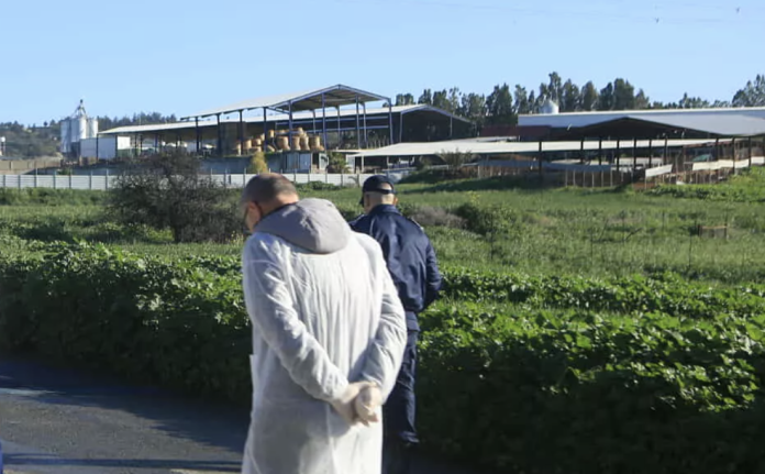 Image 17-03-2026 at 13.08