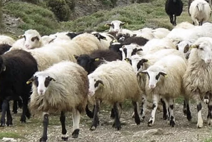 Image 22-03-2026 at 19.37