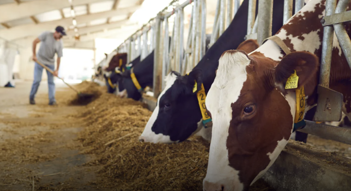 Image 24-03-2026 at 18.40