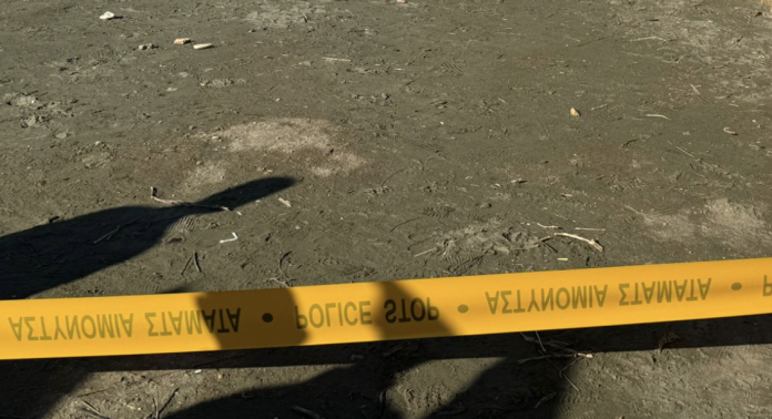 Image 31-03-2026 at 13.59