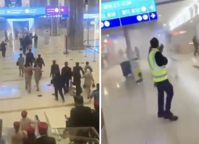 collage_export_D4B43952-4DC8-418B-A686-B3B05B6D246F