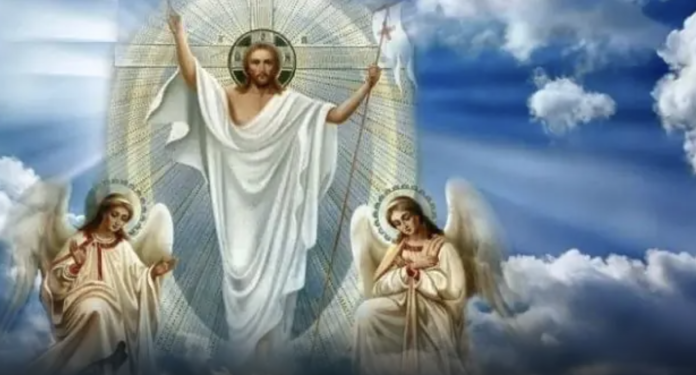 Image 10-04-2026 at 20.04